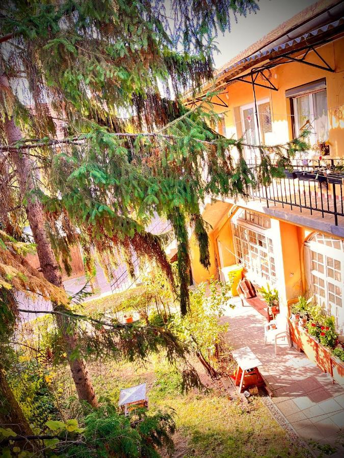 Green Apartman إغير المظهر الخارجي الصورة